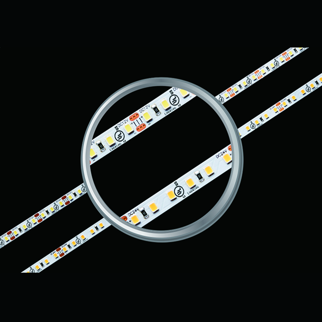 CRI95 dent 6500K Blanc Led Strip Light